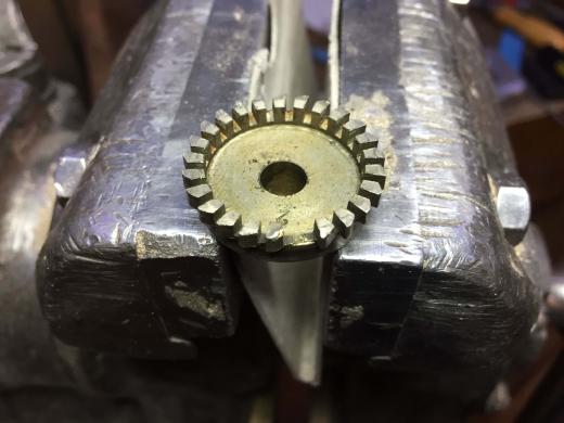 Zweites Leben – Nr. 39