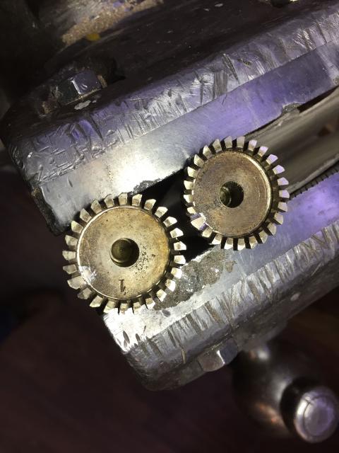 Zweites Leben – Nr. 40