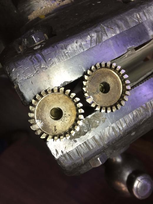 Zweites Leben – Nr. 40