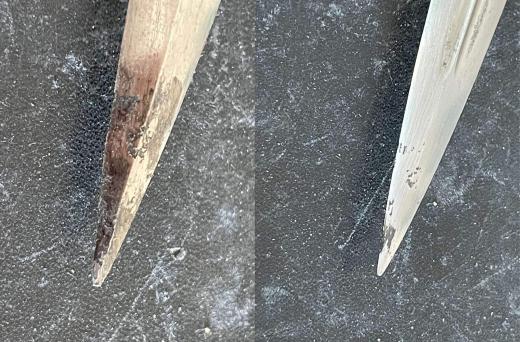 Zweites Leben – Nr. 110