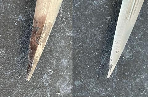 Zweites Leben – Nr. 110